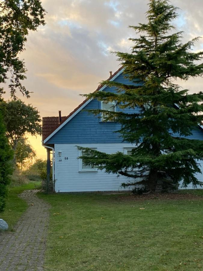 Freistehendes Einfamilienhaus Mit Boddenblick Naehe Ostsee Fuhlendorf  ภายนอก รูปภาพ
